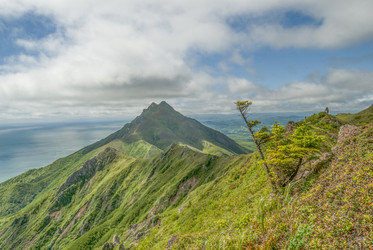 Similar image 22117185