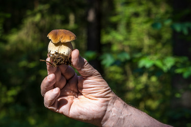 Similar image 22119487