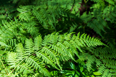 Similar image 22119489