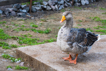 Similar image 22119490