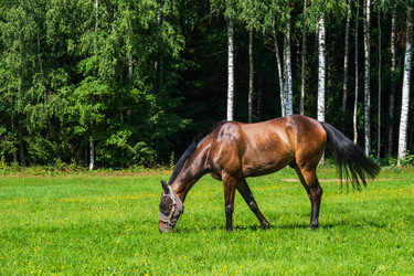 Similar image 22119491