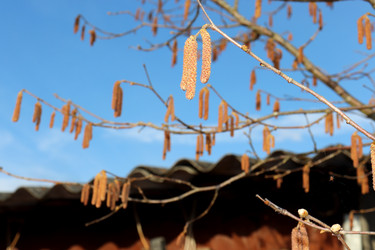 Similar image 22125699