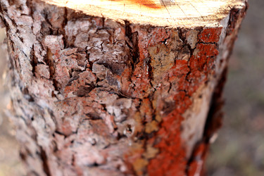 Similar image 22125700