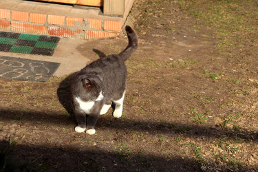 Similar image 22125715