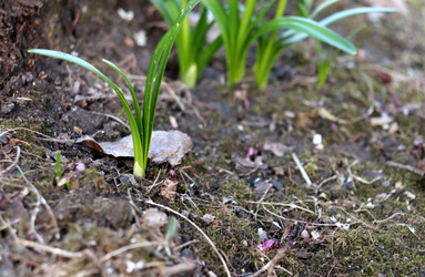 Similar image 22125702