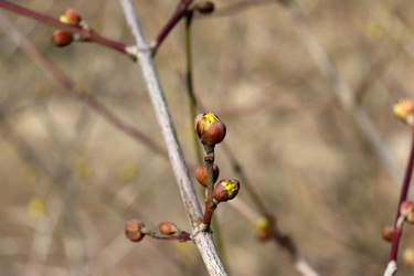 Similar image 22120197