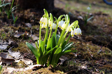 Similar image 22120198