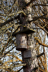 Similar image 22125703