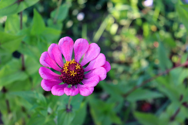 Similar image 22120199