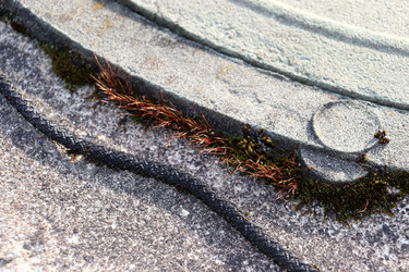 Similar image 22120200