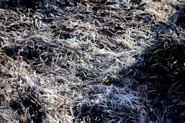 Similar image 22122505