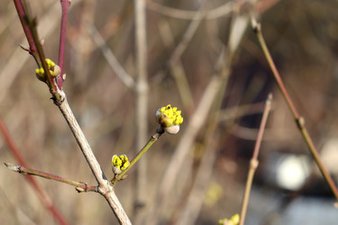 Similar image 22122506