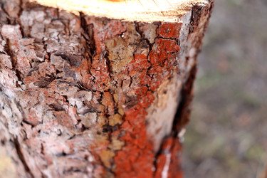 Similar image 22122507