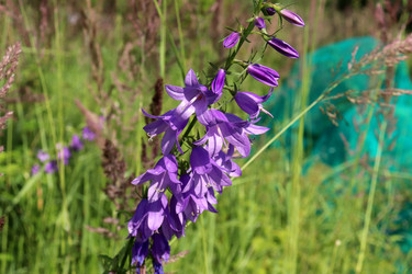 Similar image 22122508