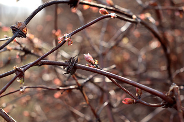 Similar image 22122516