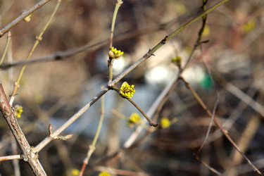 Similar image 22117063