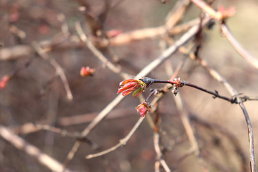 Similar image 22125704