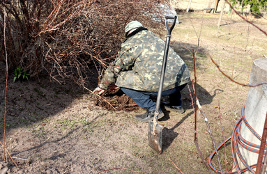 Similar image 22117064