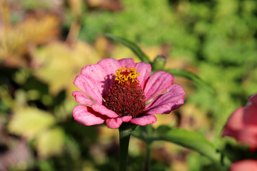 Similar image 22117065