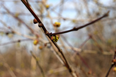 Similar image 22125705