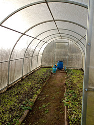 Similar image 22117066