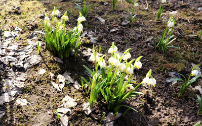 Similar image 22117068