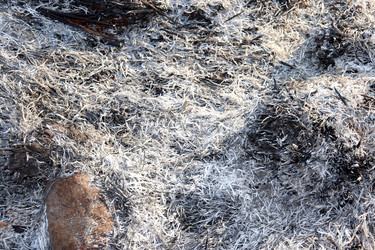 Similar image 22120202