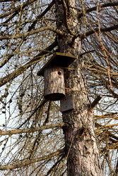 Similar image 22120203