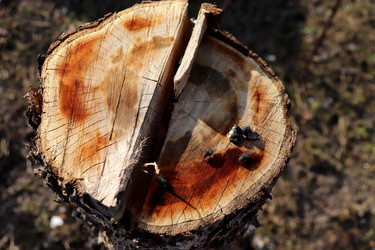 Similar image 22120206