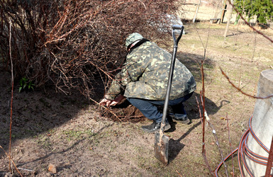 Similar image 22122517