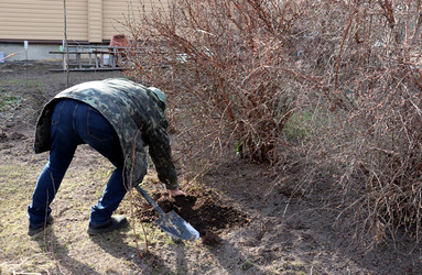 Similar image 22125707