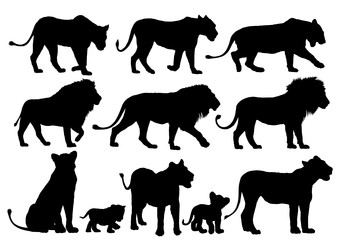 Similar image 22117070