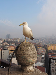 Similar image 22120207