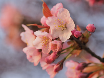 Similar image 22120208