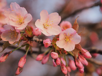 Similar image 22120209