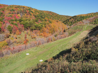 Similar image 22126981