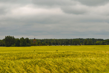 Similar image 22120233