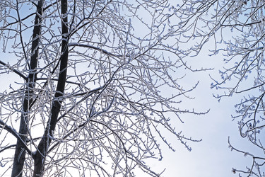 Similar image 22116813