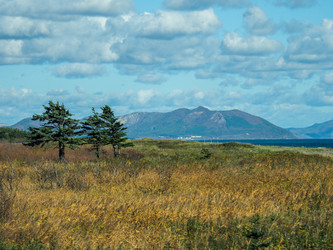 Similar image 22126984