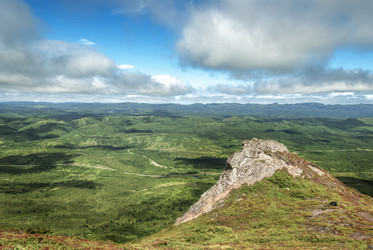 Similar image 22119882