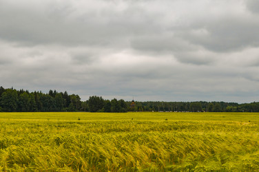 Similar image 22120234