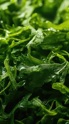 Similar image 22117843