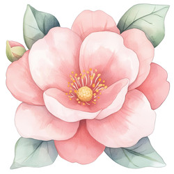 Similar image 22117862