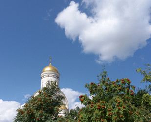 Similar image 22119547