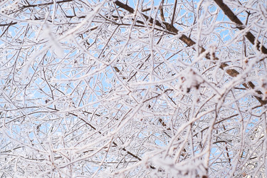 Similar image 22117090