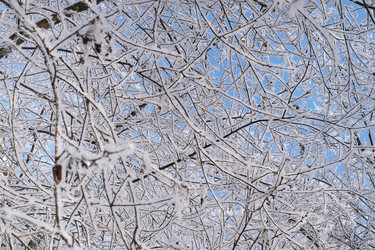 Similar image 22117104