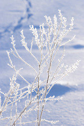 Similar image 22117114