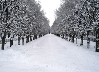 Similar image 22117118