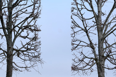 Similar image 22117122