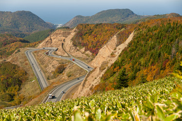 Similar image 22119905